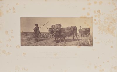 Il ritorno dal lavoro, di R. Ansdell da Caldesi and Montecchi