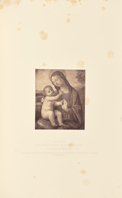 La Vergine con il Bambino, di Filippino Lippi da Caldesi and Montecchi