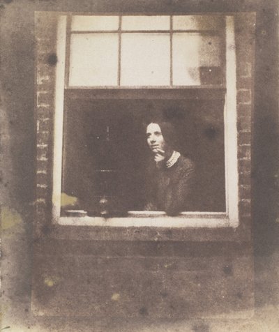 Signora alla finestra aperta con gabbia per uccelli, fine 1840s da Calvert Jones