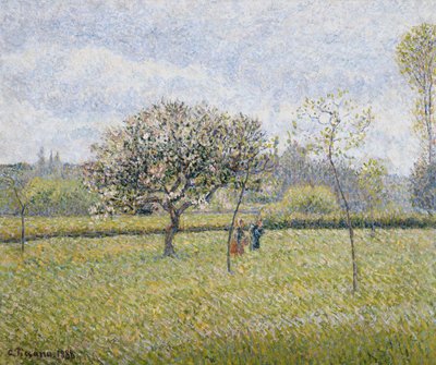 Melo in Fiore a Eragny, 1888 da Camille Jacob Pissarro