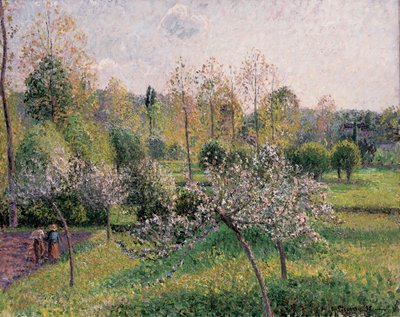 Meli in fiore, Eragny, 1895 da Camille Jacob Pissarro