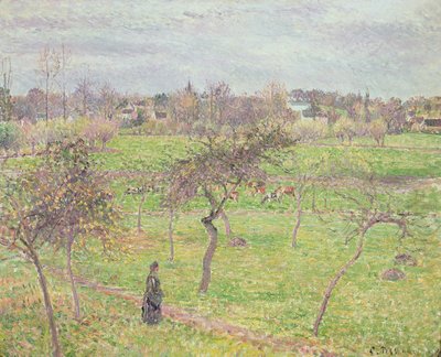 Meli in un prato a Eragny, 1894 da Camille Jacob Pissarro