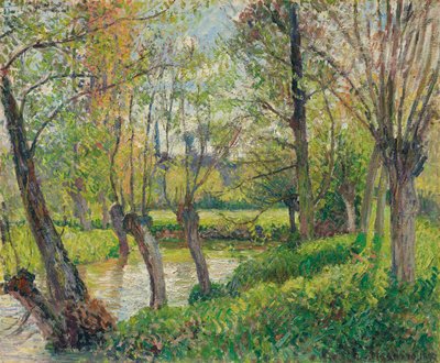 Bordi dell
