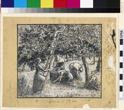 Studio compositivo di contadine che raccolgono mele da Camille Jacob Pissarro