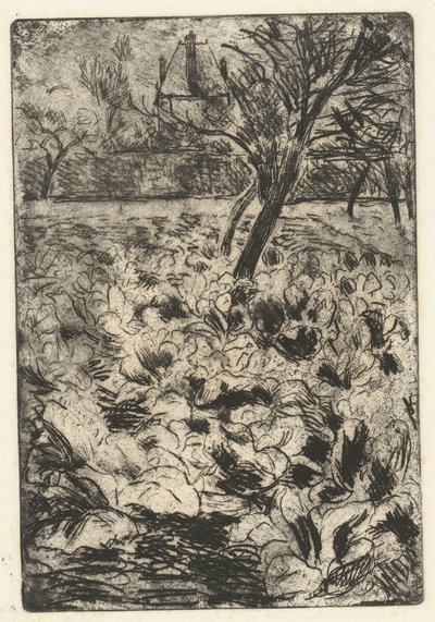 Il campo di rape da Camille Jacob Pissarro