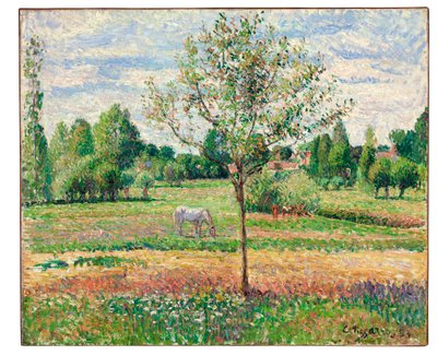 Prato con cavallo grigio, Eragny, 1893 da Camille Jacob Pissarro