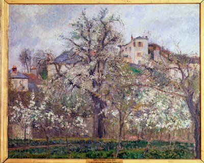 Primavera, fioritura dei prugni a Pontoise da Camille Jacob Pissarro
