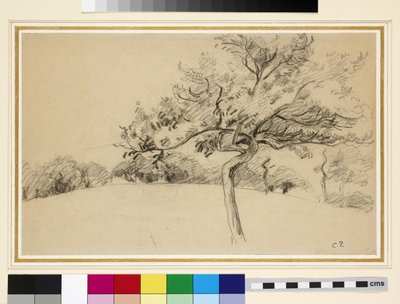 Studio del frutteto a Eragny-sur-Epte con un albero in primo piano da Camille Jacob Pissarro