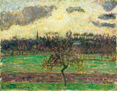 I prati a Éragny, melo da Camille Jacob Pissarro