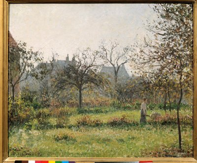 Donna in un frutteto, mattina d