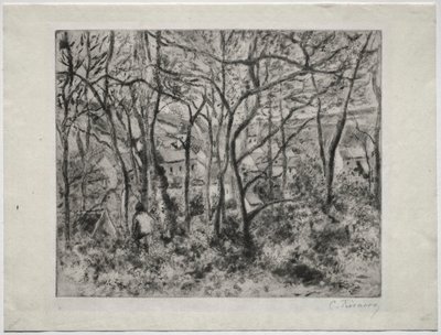 Paesaggio boscoso a L