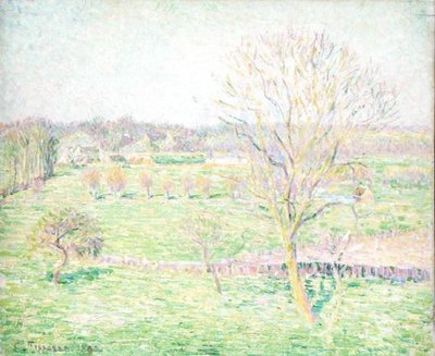 Un campo con un noce in primavera da Camille Jacob Pissarro