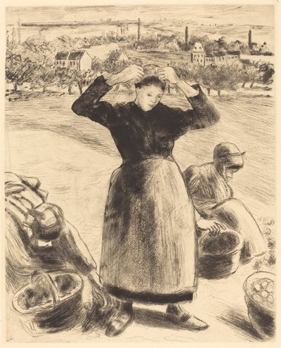 Raccolta di patate da Camille Pissarro