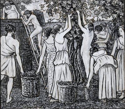 Vendemmia, studio compositivo per un