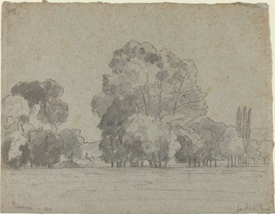 Boschetto di alberi da Camille Pissarro