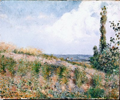 Paesaggio da Camille Jacob Pissarro