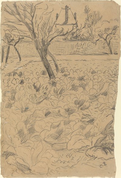 Le champ de choux da Camille Pissarro