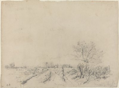 Strada di Montmorency da Camille Pissarro