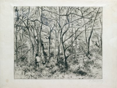 Paesaggio sotto il Bosco, all