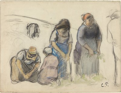 Raccoglitori di piselli da Camille Pissarro