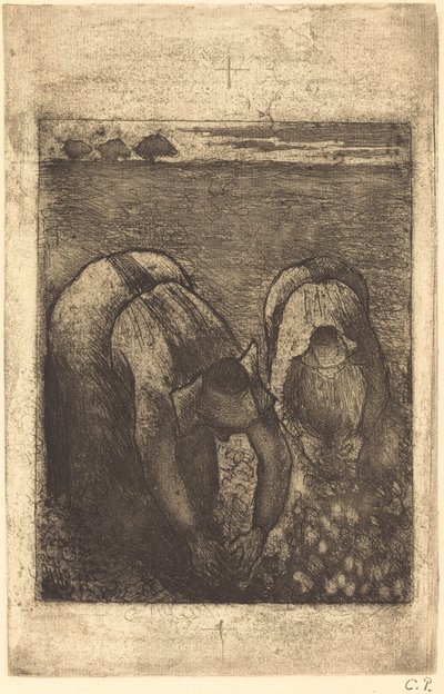 Contadini in un campo di fagioli da Camille Pissarro