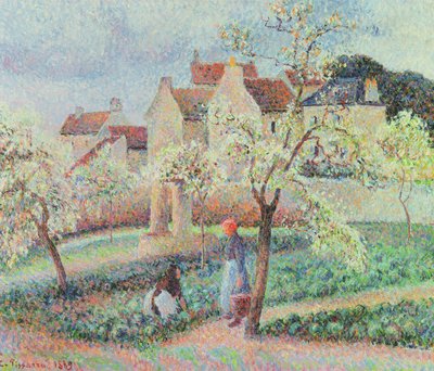 Alberi di prugne in fiore, 1889 da Camille Jacob Pissarro