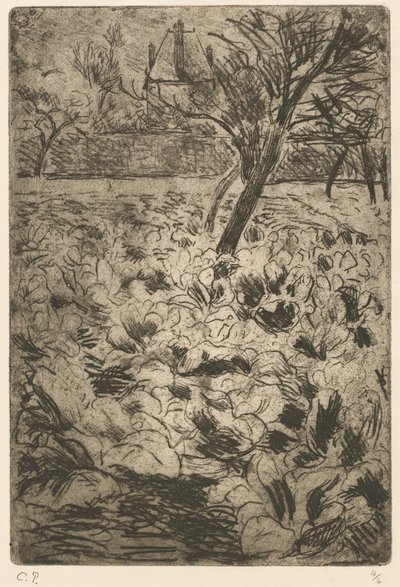 Il campo di cavoli Le champ de choux, c. 1880 da Camille Pissarro