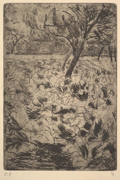 Il campo di cavoli da Camille Jacob Pissarro
