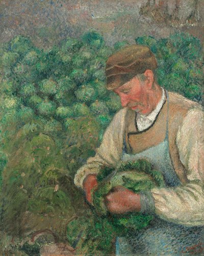 Il Giardiniere - Vecchio Contadino con Cavolo da Camille Pissarro