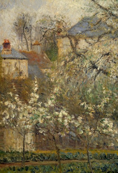 Orto e alberi in fiore in primavera a Pontoise da Camille Jacob Pissarro