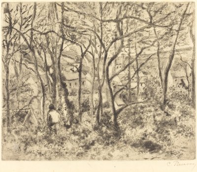 Paesaggio boscoso a L