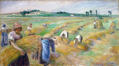 Il raccolto da Camille Pissarro