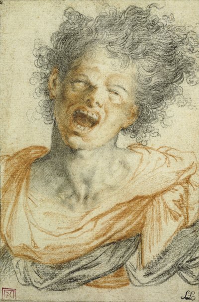 Un giovane che urla da Camillo Procaccini