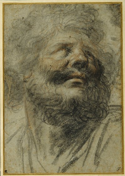 Testa di un uomo barbuto, che guarda in alto a destra da Camillo Procaccini