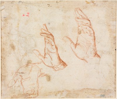 Studio di mani (verso) da Camillo Procaccini