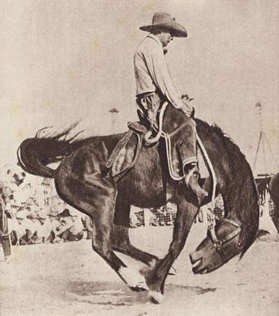 Cowboy in sella a un bucking bronco (foto b/n) da Canadian Photographer