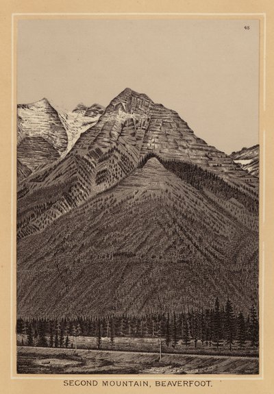 Canada: Seconda montagna, Beaverfoot da Canadian School
