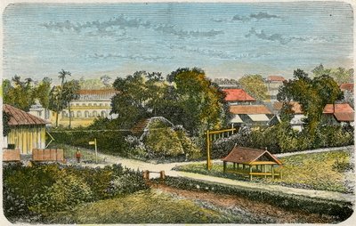 Tonga, c. 1885 da Canedi Barberis