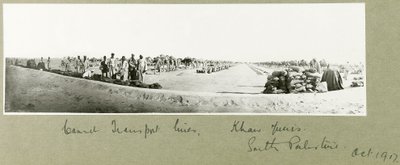 Linee di trasporto dei cammelli, Khan Yunis, ottobre 1917 da Capt. Arthur Rhodes