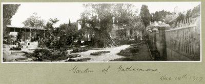 Giardino del Getsemani, 14 dicembre 1917 da Capt. Arthur Rhodes