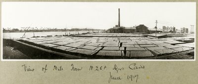 Vista del Nilo dalla sede centrale della N.Z.M.F.A., Il Cairo, giugno 1917 da Capt. Arthur Rhodes