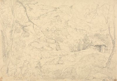 In Bradley Vale, 30 Maggio 1833 da Capt. Thomas Hastings