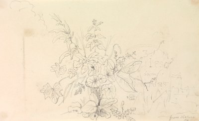 Schizzo di Piante e una Pietra Miliare dalla Natura, 3 Giugno 1826 da Capt. Thomas Hastings