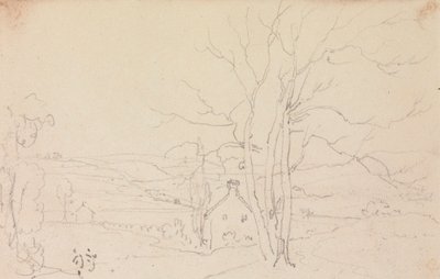 Schizzo di un grande albero e un cottage da Capt. Thomas Hastings