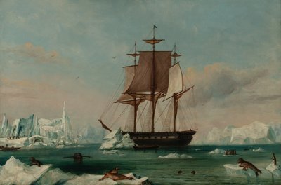 USS Vincennes nella baia di Disappointment (olio su tela) da Captain Charles (attributed to) Wilkes