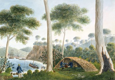 Capanna Nativa (o Wigwam) di Adventure Bay, Terra di Van Diemen, 1792 da Captain George Tobin
