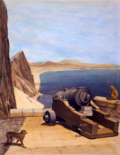 La batteria mediterranea, Gibilterra, stampa di TC Dibdin, da Select Views of the Rock and Fortress of Gibraltar, pubblicato nel 1846 da Captain J. M. Carter