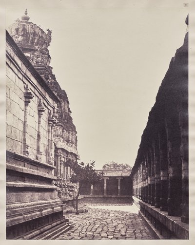 Vimana del Tempio Perumal dall