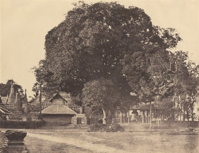 Rangoon: Grande campana della pagoda Shwe Dagon, novembre 1855 da Captain Linnaeus Tripe