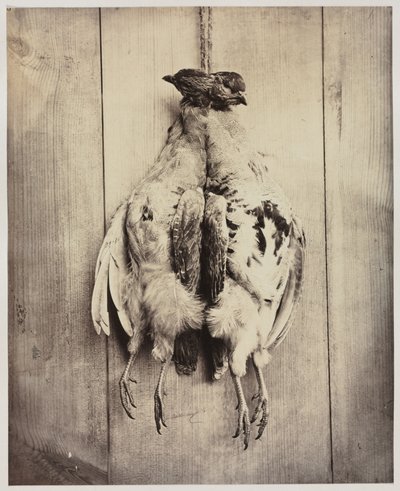 Pernici recto, Tomba di L.D. Campbell verso, c. 1861 da Captain N. Baily